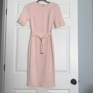 Gorgeous Ted Baker dress with rose gold zipper